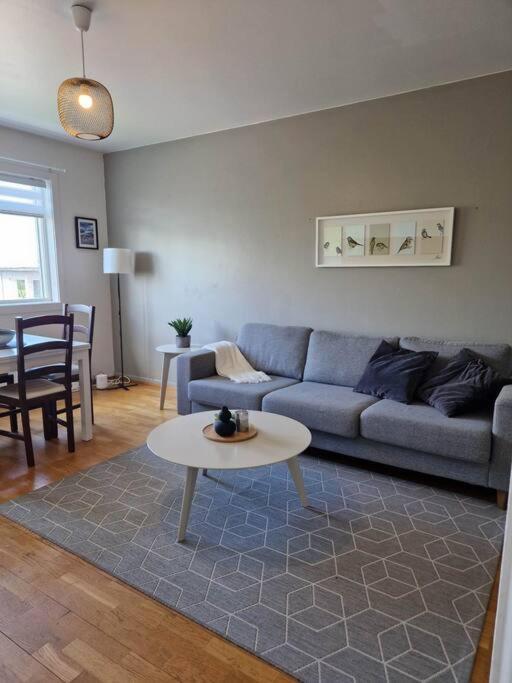 Apartment In Downtown Reykjavík Zewnętrze zdjęcie