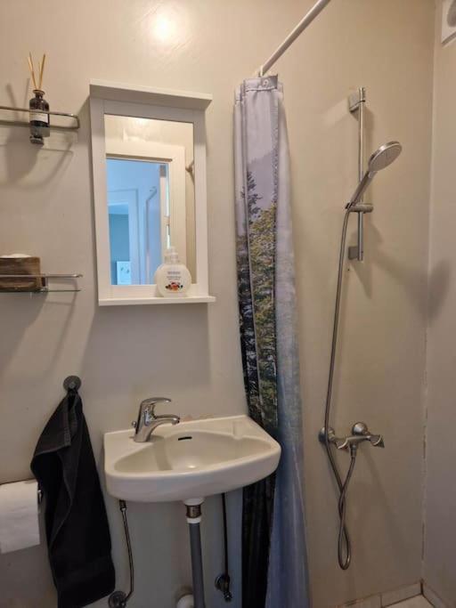 Apartment In Downtown Reykjavík Zewnętrze zdjęcie